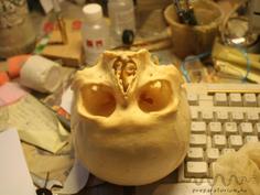 Koponya